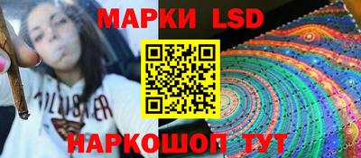 гашик Можга