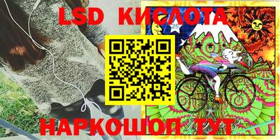 гашик Можга
