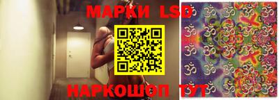 гашик Можга
