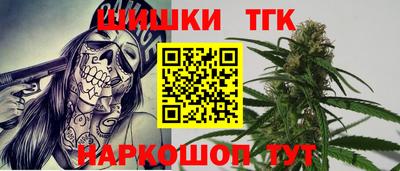 гашик Можга