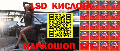 гашик Можга