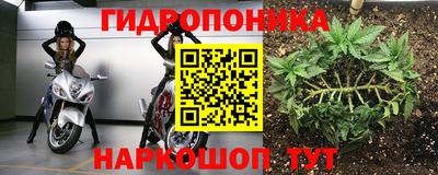гашик Можга
