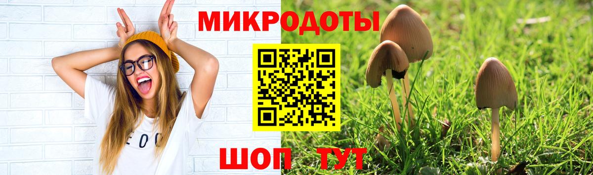 Пыть-Ях  Псилоцибиновые грибы ЛСД  Вход с VPN  Галлюциногенные грибы MAGIC MUSHROOMS 