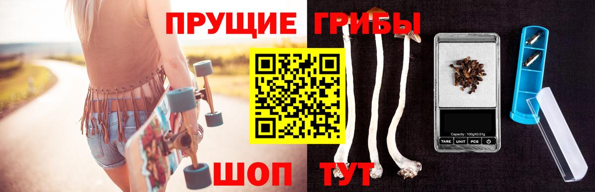Псилоцибиновые грибы мицелий Пыть-Ях