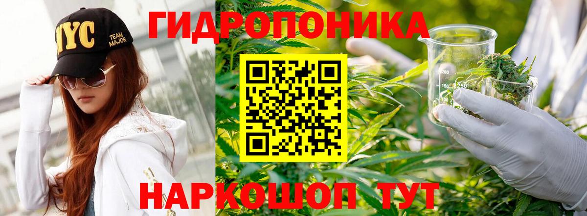 Шишки марихуана гибрид  Шишки марихуана SATIVA & INDICA  Пыть-Ях  Вход с VPN  Бошки марихуана план 